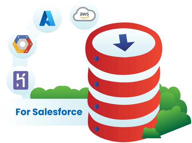 External Cloud Archiving Application For Salesforce | DataArchiva